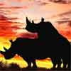 Любовь носорогов. аватар